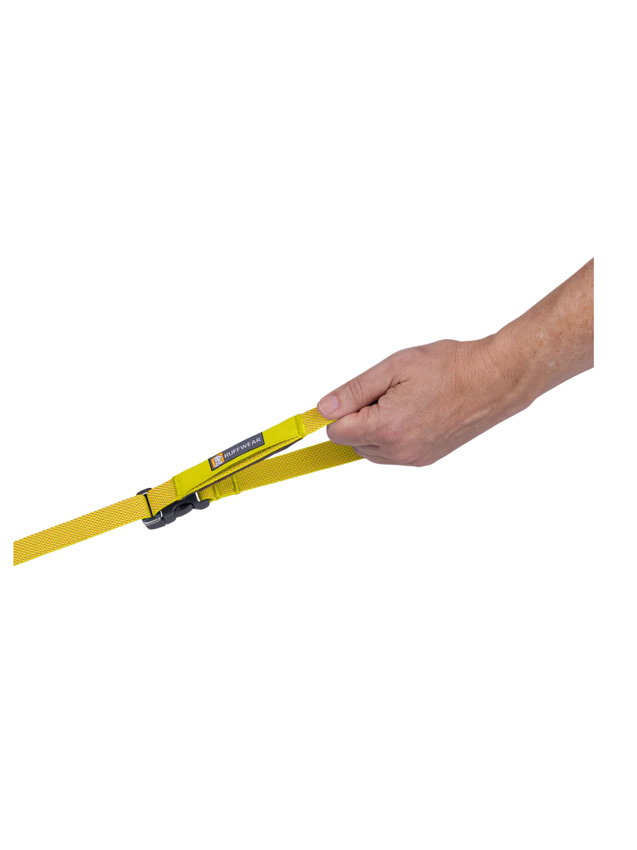 Flagline™ Dog Lead - i hånden