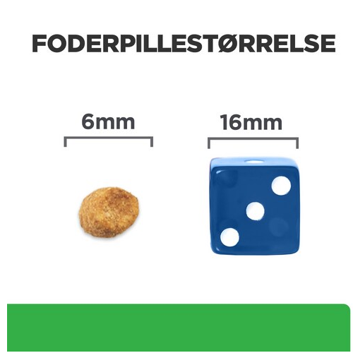 Et billede af en terning og et stykke brød, der fremhæver vigtigheden af Hill's PRESCRIPTION DIET r/d Vægtreduktion tørfoder til katte med kylling hos katte. (Mærkenavn: Hills Prescription Diet)
