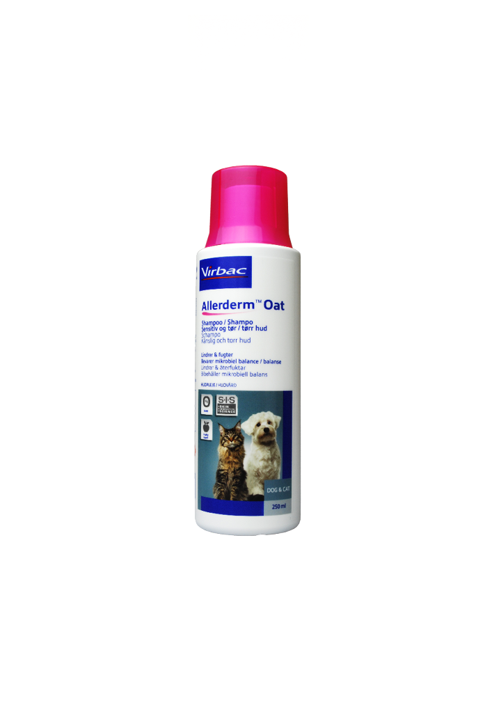 En flaske Virbac Allerderm Oat 250 ml hundeshampoo med beroligende formel til følsom hud på en ren hvid baggrund.