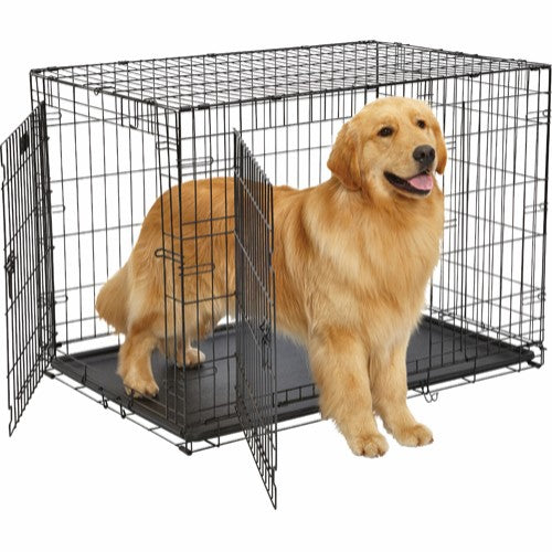En golden retriever stående i en Trixie foldbar metal Hundebur, sort transportbur.