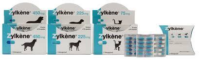 Fire æsker Zylkene til hunde i specielle situationer på hvid baggrund.