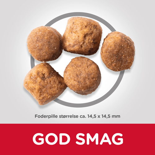 størrelse på foderpiller i Hills Healthy Mobility tørfoder til hunde er ca. 14,5 x 14,5 mm