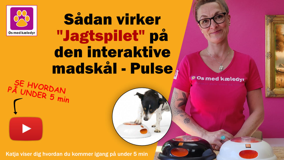 Sådan virker Jagtspillet på interaktive Madskålen Pulse fra Northmate