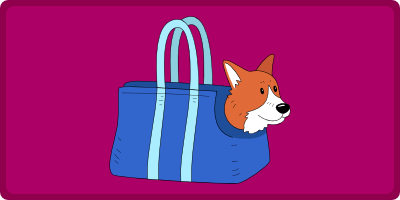 Transporttasker til Hunde