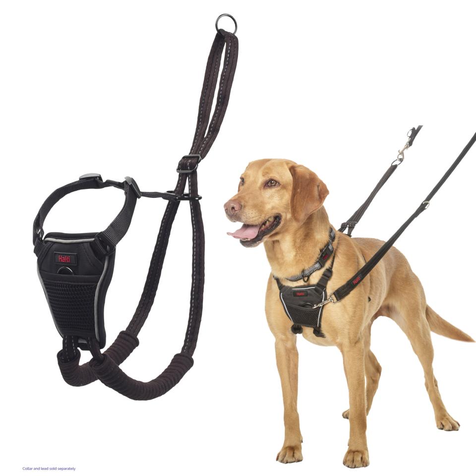 NO-PULL Harness, træningssele til hunde der trækker - farve orange