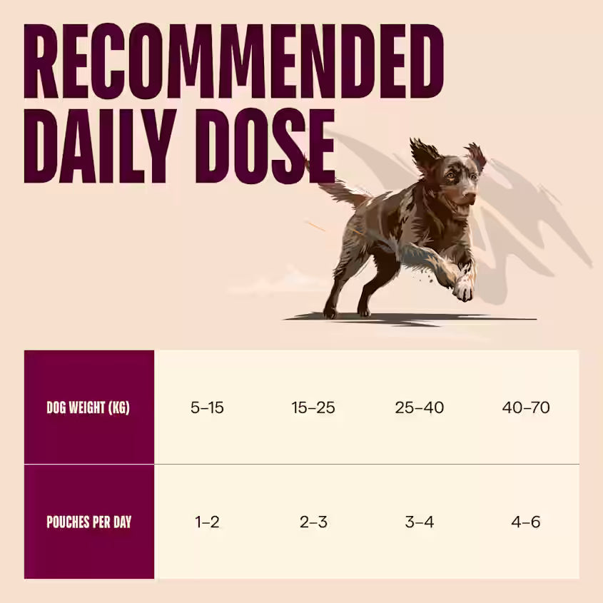 Vådfoder POUCH Paté, Kornfri & Glutenfri med kalkun, vildt & jordbærblade til hunde