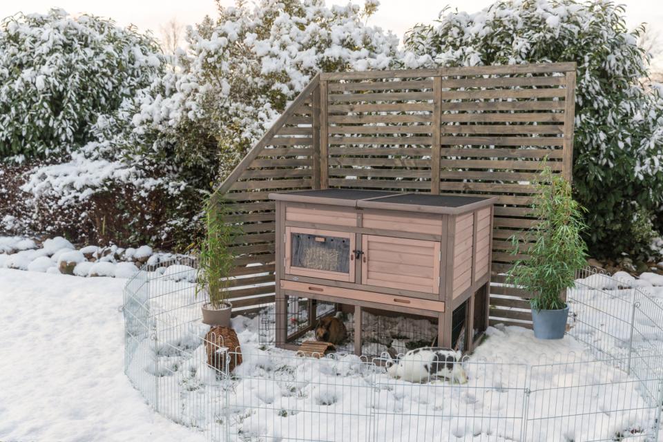 Udendørs Dobbelt isoleret kaninbur XL- B:120 x H:98 x L94 cm - Leveret gratis lige til døren