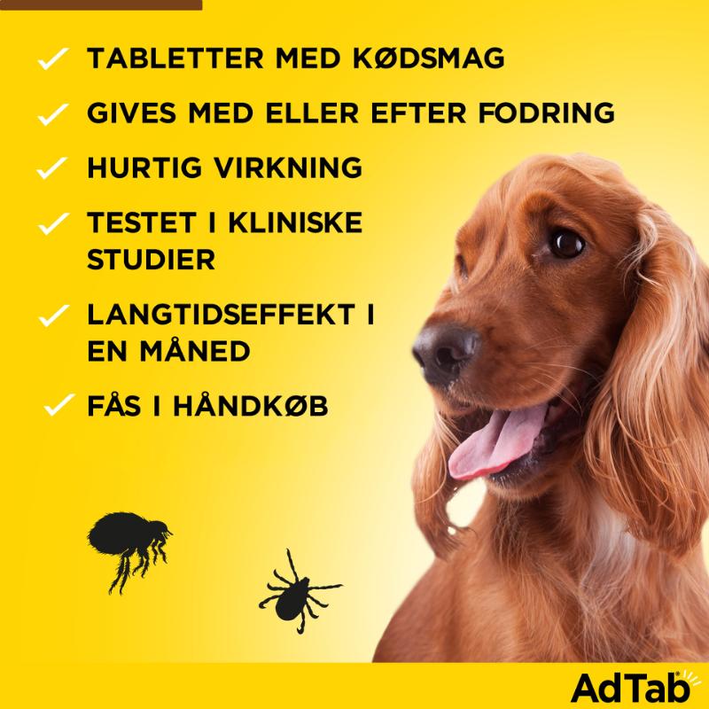 AdTab piller mod lopper og flåter til hund 1,3-2,5 kg - 3-pak