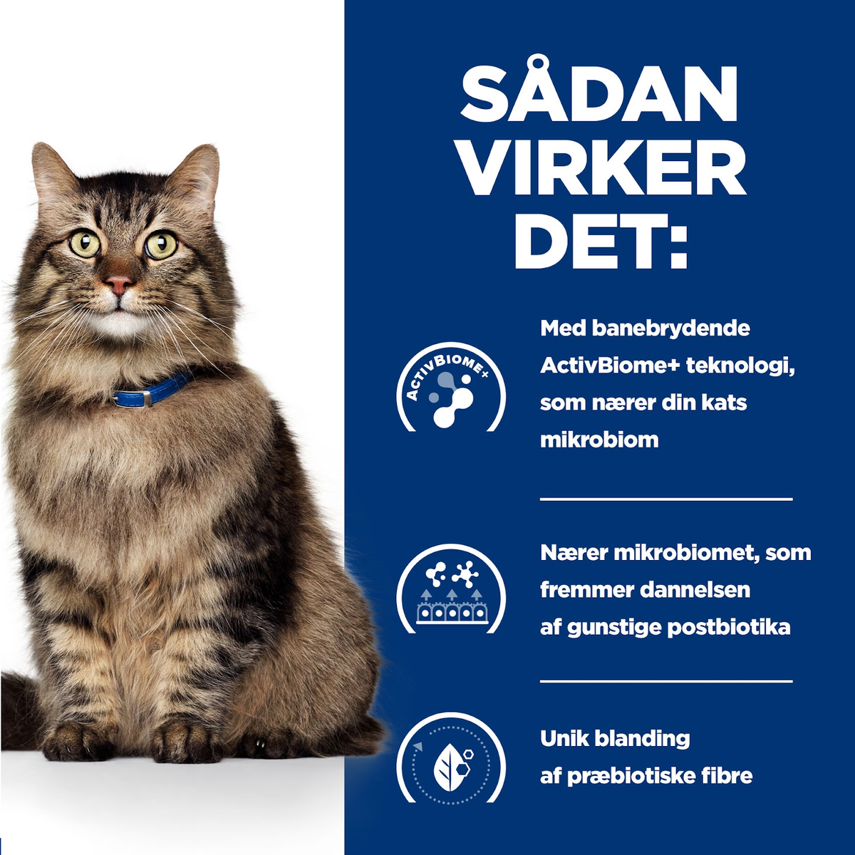 Hill's Prescription Diet GI Biome Stew - Fordøjelsesstøttende kattefoder med kylling