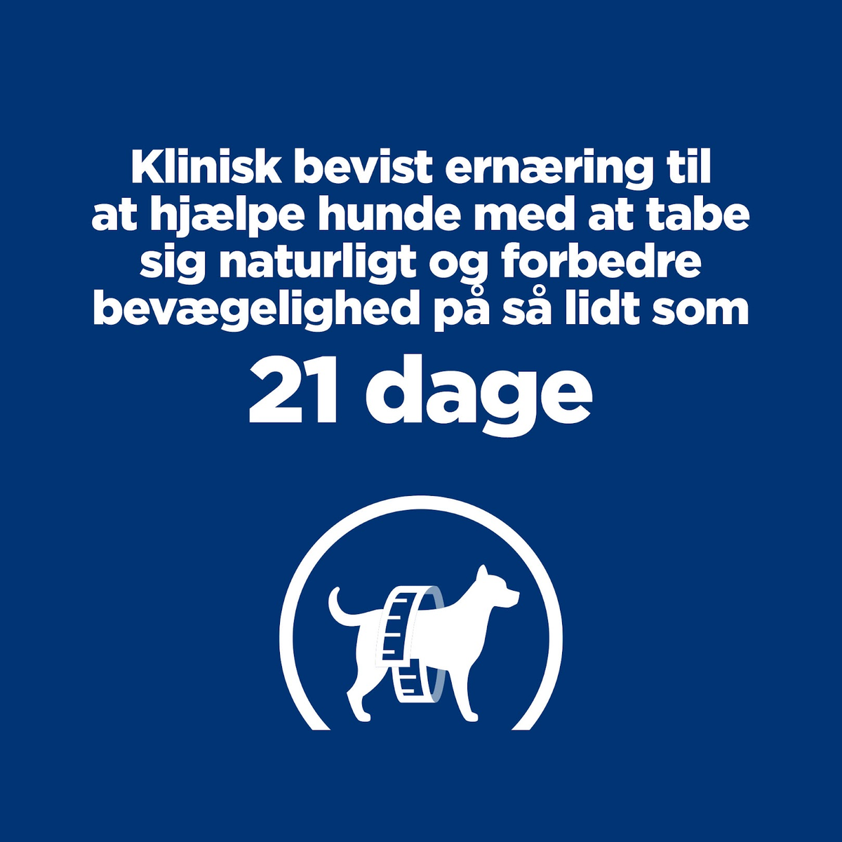 Hill's PRESCRIPTION DIET Metabolic + Mobility Weight Management j/d tørfoder til hunde med kylling