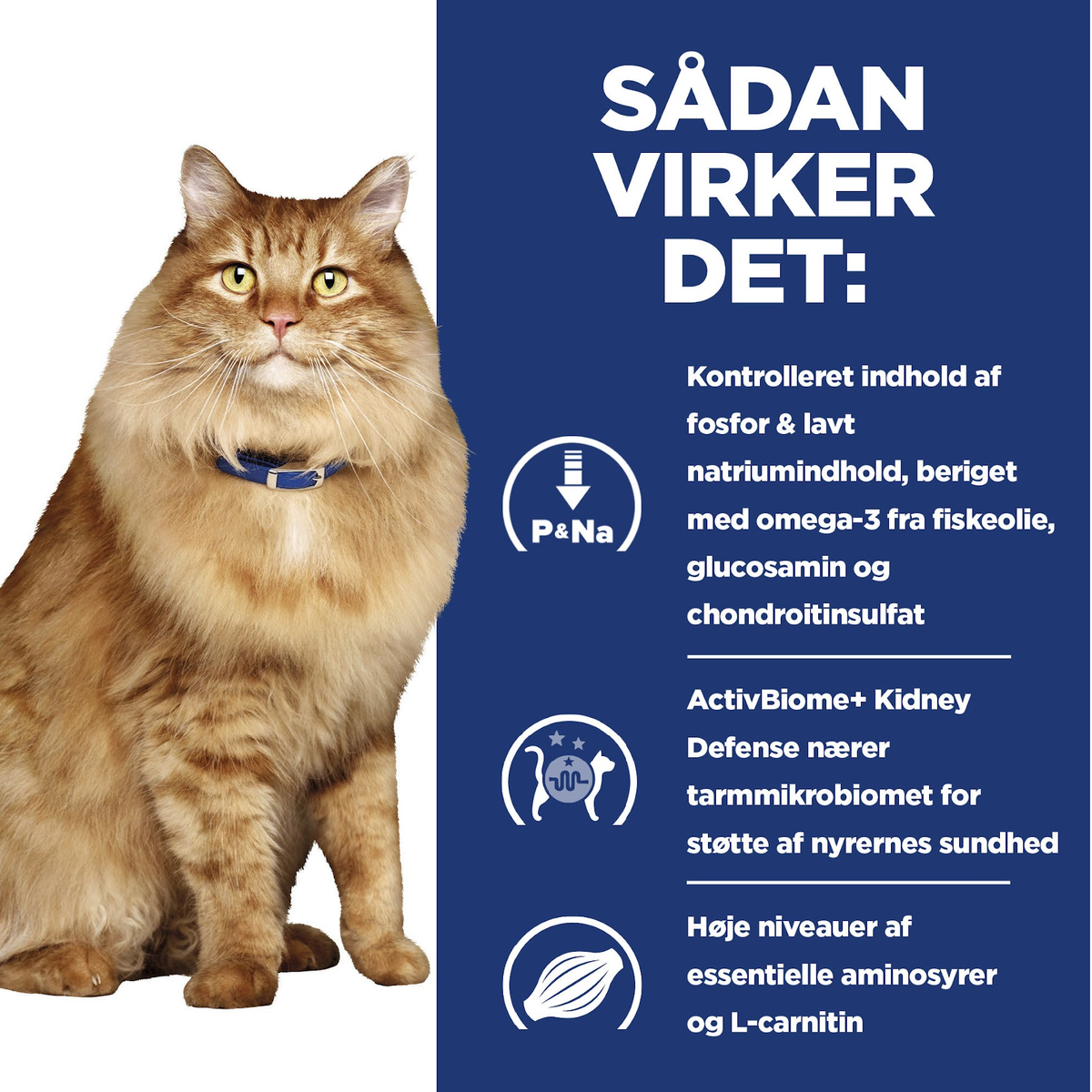 Hill's PRESCRIPTION DIET k/d + Mobility vådfoder til katte med kylling - 12x85g portionsposer