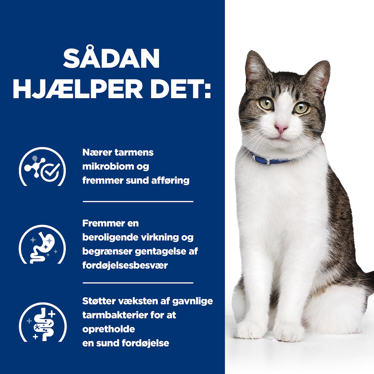 Hill's Prescription Diet Gastrointestinal Biome Stress Stew til katte med kylling og tilsatte grøntsager