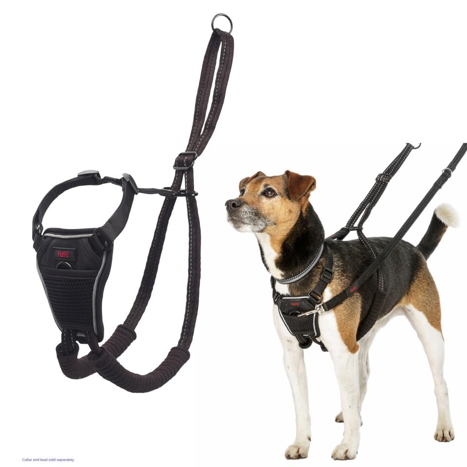 NO-PULL Harness, træningssele til hunde der trækker - farve orange
