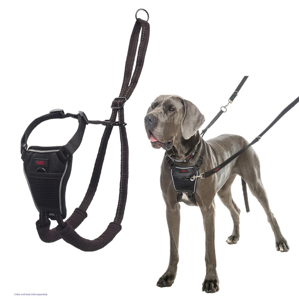 NO-PULL Harness, træningssele til hunde der trækker - farve orange
