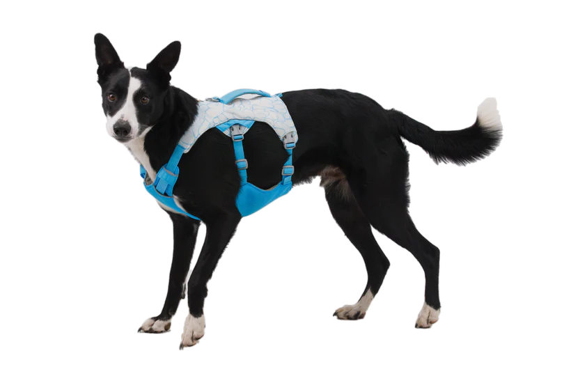 Swamp Cooler Harness fra Ruffwear – perfekt til aktive hunde