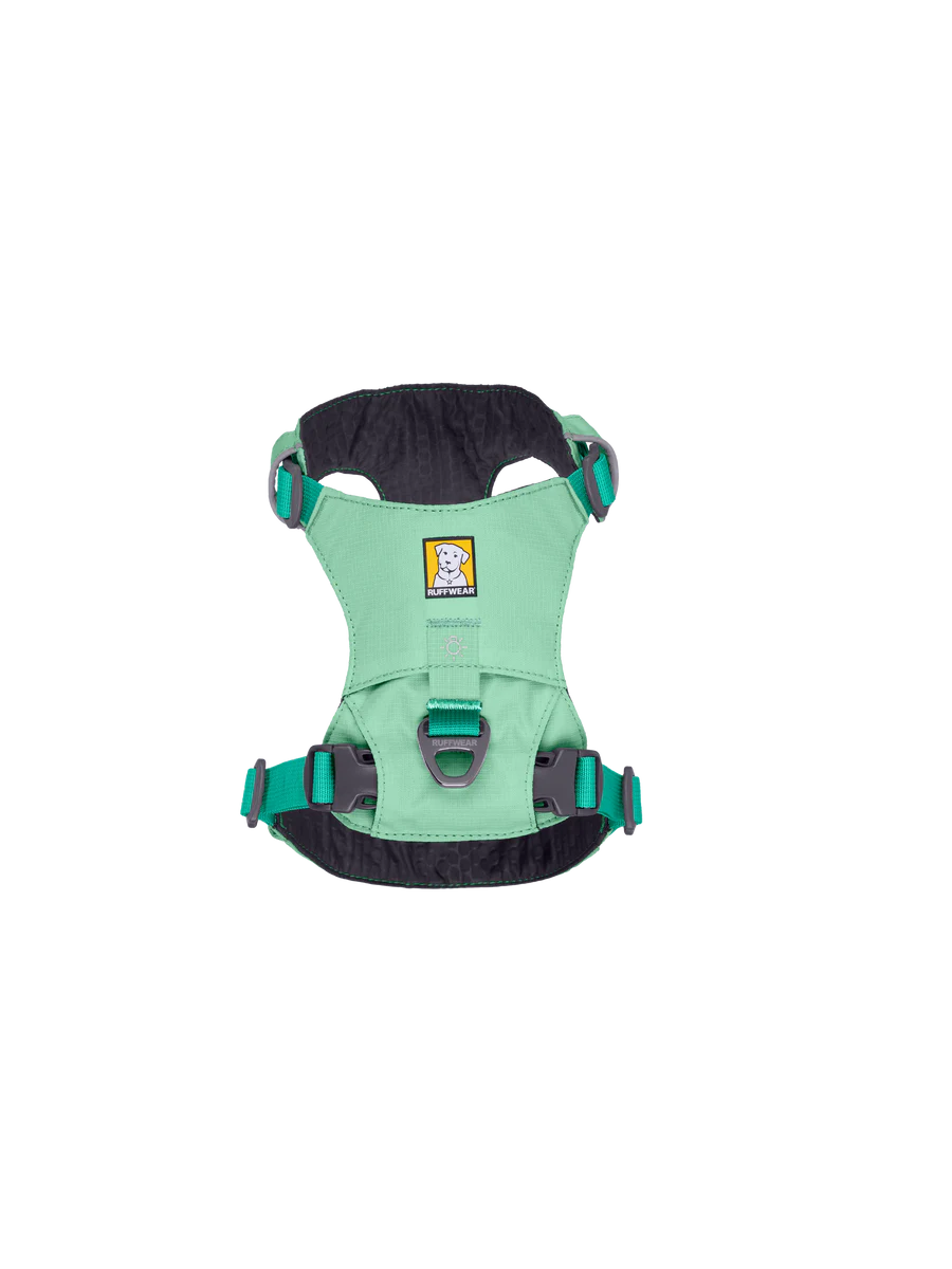 Hi & Light Harness fra Ruffwear – perfekt til aktive hunde