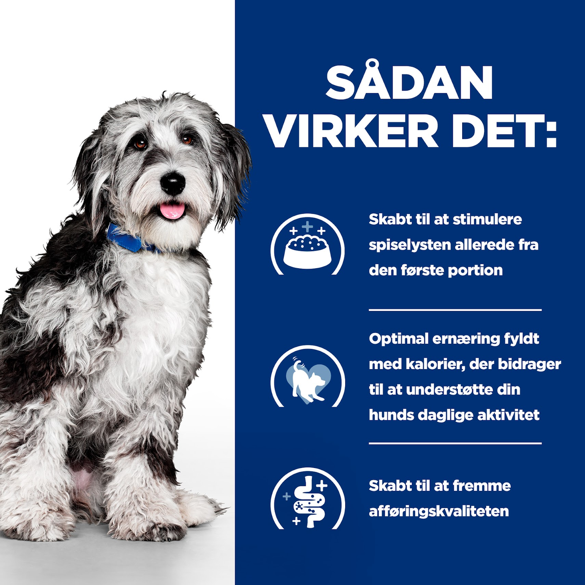 Hill’s Prescription Diet ON-Care Canine Chicken