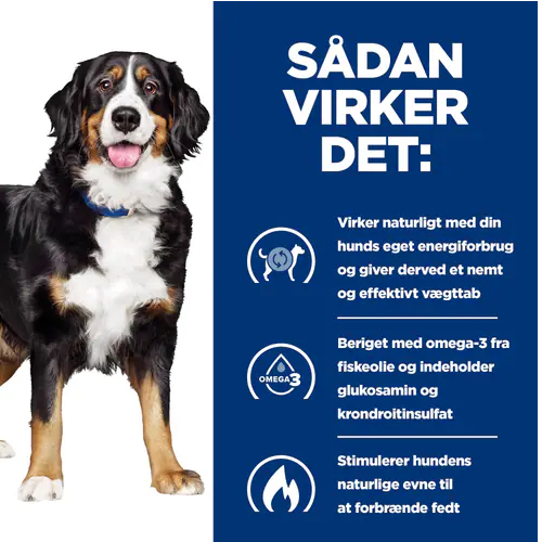 Vægttab og ledsundhed hos hunde med Hills Prescription Diet Metabolic + Mobility Weight Management j/d tørfoder til hunde med kylling.