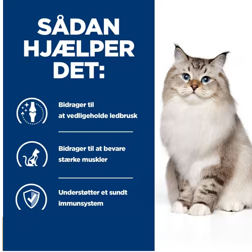 Hill's PRESCRIPTION DIET j/d Joint Care tørfoder til katte med kylling