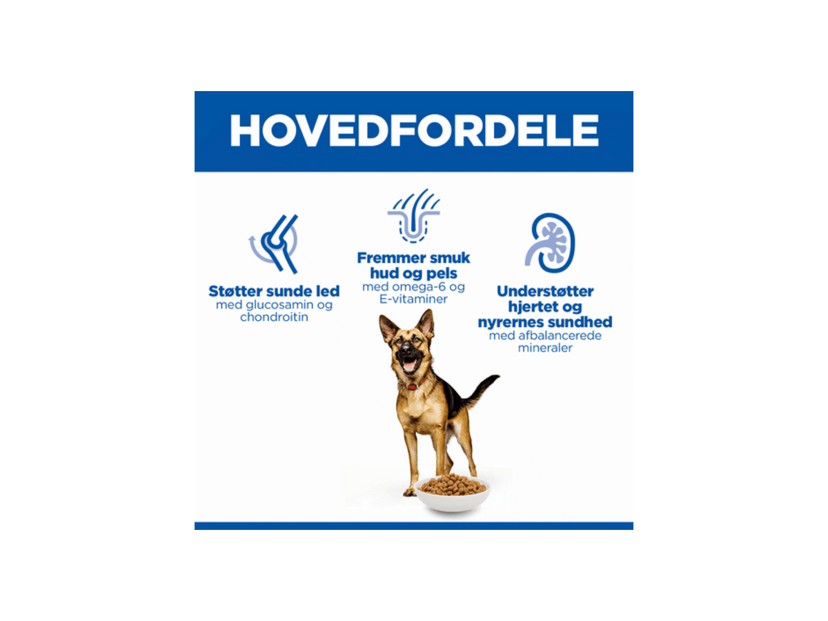 Hill's Science Plan Mature Adult Large Breed Hundefoder Kylling 12 kg fordele