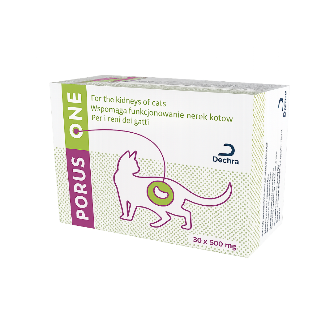 Porus One Powder 30 x 500 mg