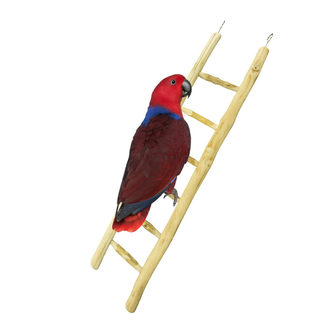 Fuglestige af javatræ 60 cm | Back Zoo Nature Java Ladder