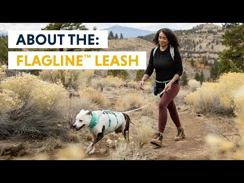 Flagline™ Dog Lead - youtube film