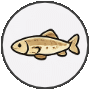 torsk
