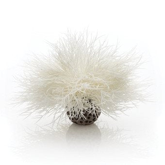 biOrb akvarieplante hvid, sea lily