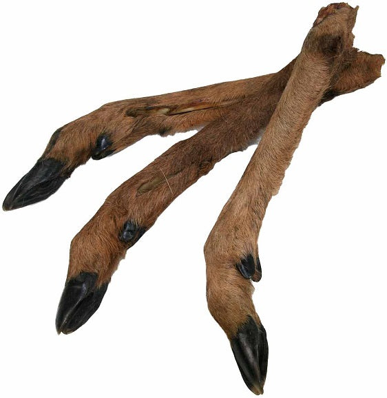 Hjorteben Large med pels 30-40cm, allergivenligt til hunde