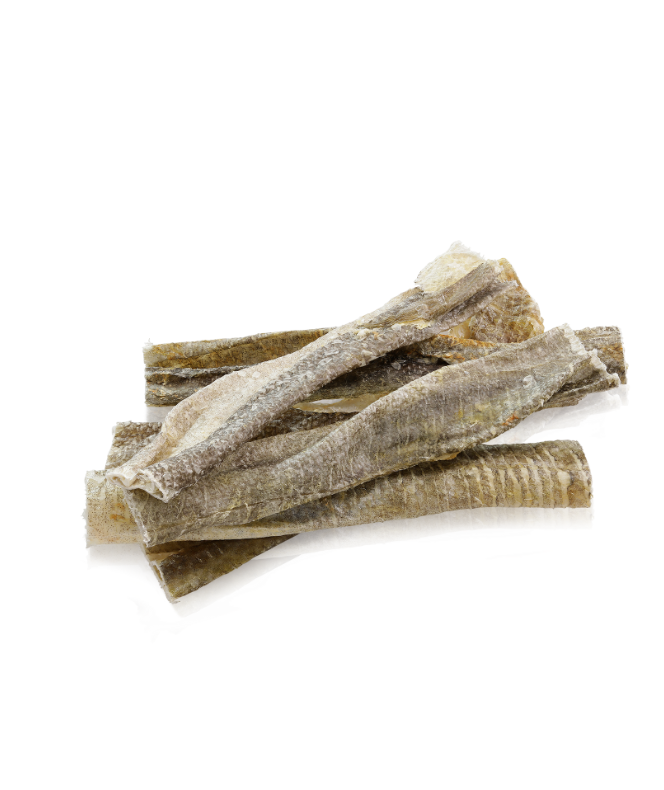 ESSENTIAL Icelandic fish delights - store lækre hundesnacks