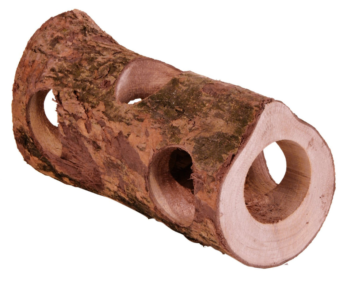 Gnavertunnel i naturtræ