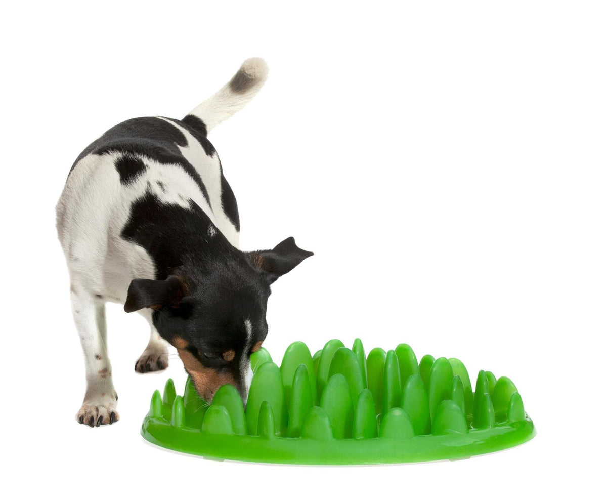 Ting til hunden - Hunde- og katte aktivitets mad og gufskål. Green Madskål - Hvor kæledyr ville handle - Foderboxen.dk