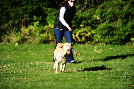 En kvinde går tur med sin hund i parken med en Chuckit Ultra Duo Tug (2 bolde m/ snor imellem) Medium snor og bruger træningsteknikker.