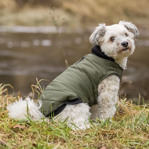 Hundejakke, Arley, oliven grøn